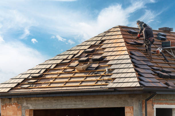 Best Roof Repair  in Talty, TX